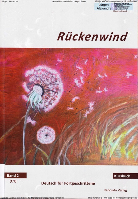 Rückenwind Übungsbuch C1 (Band 2)